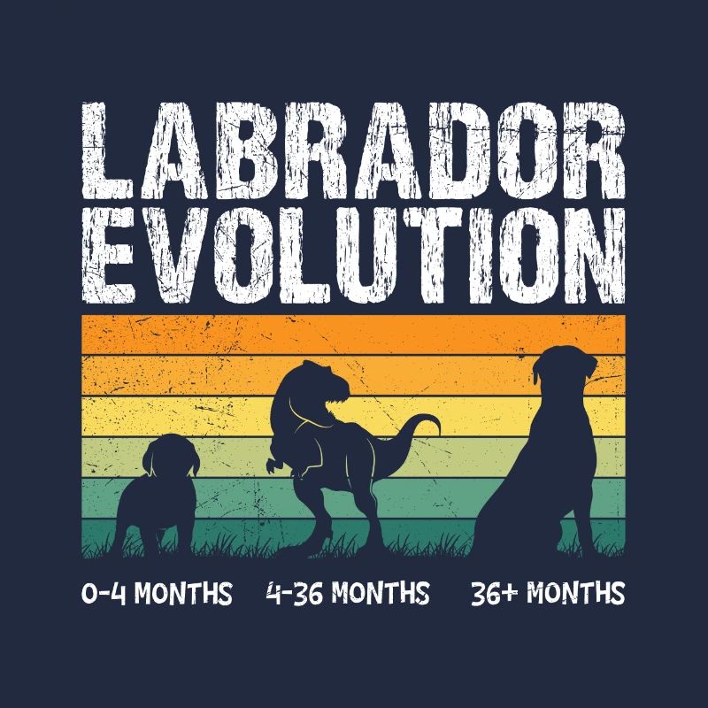 Labrador EVOLUTION Labrador Lover Funny