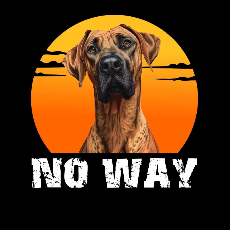 Rhodesian Ridgeback obstinément NON ! Drôle de crête