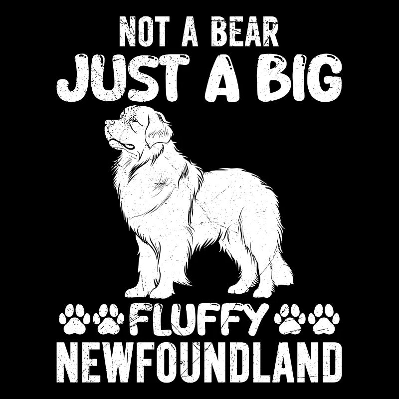 Newfie NOT A BEAR JUST A BIG FLUFFY NEWFOUNDLAND