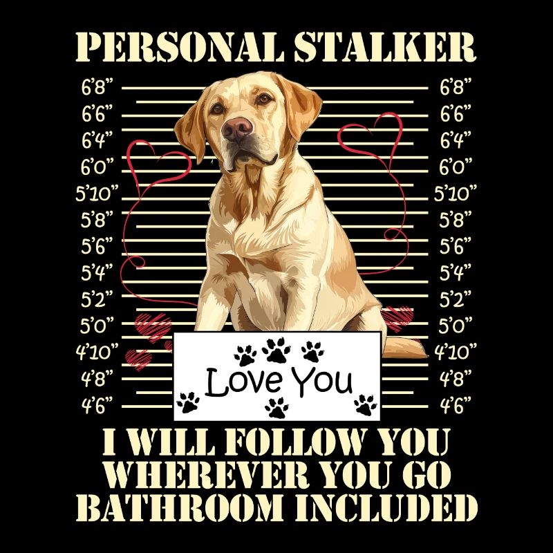 Labrador Chien PERSONAL STALKER JE TE SUIVRAI