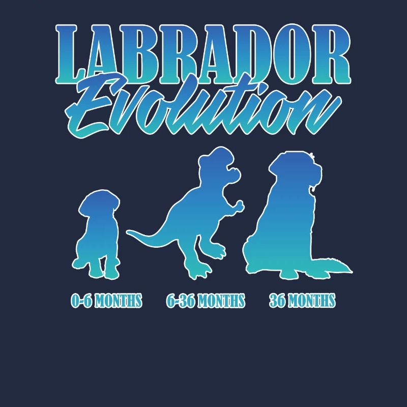LABRADOR EVOLUTION Labrador Propriétaire Drôle
