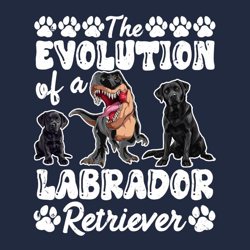 Hundebesitzer DIE EVOLUTION EINES LABRADOR