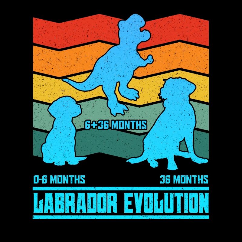 Propriétaire Labrador LABRADOR EVOLUTION Drôle
