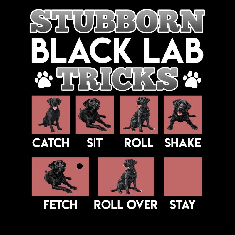 Propriétaire de Labrador ASTUCES TÊTUES DE BLACK LAB