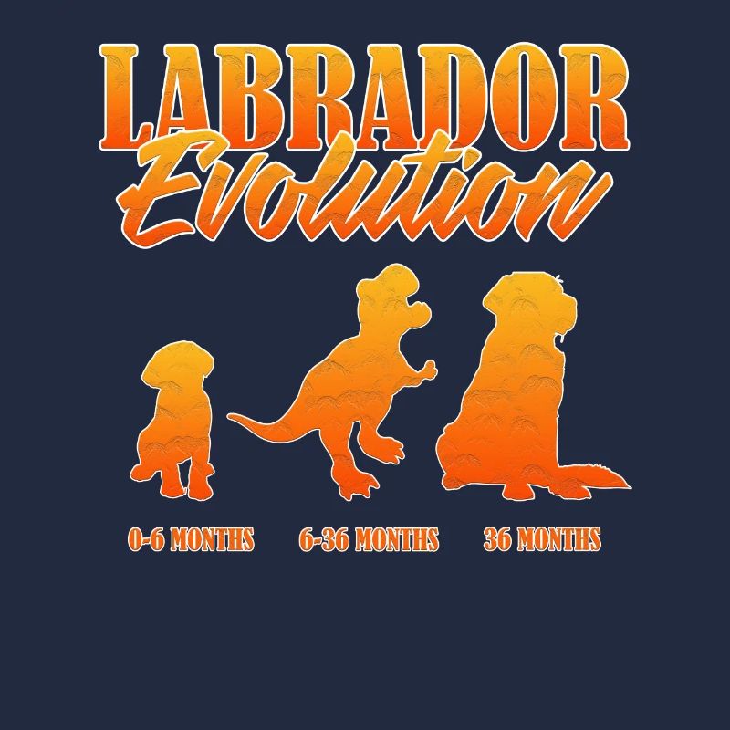 LABRADOR EVOLUTION Labrador Propriétaire Drôle