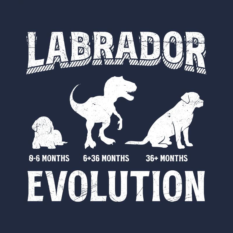 Labrador EVOLUTION Labrador Lover Drôle