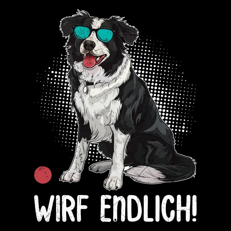 Le propriétaire du Border Collie ENFIN JETER ! Amusement
