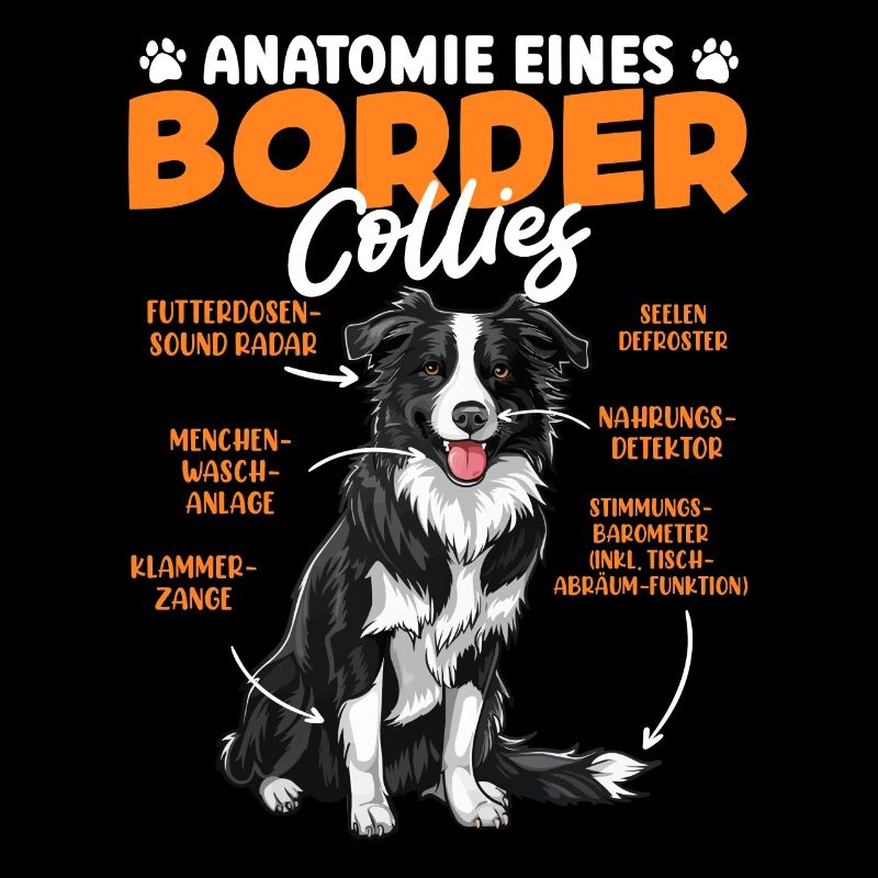 Border Collie ANATOMIE EINES BORDER COLLIES Lustig