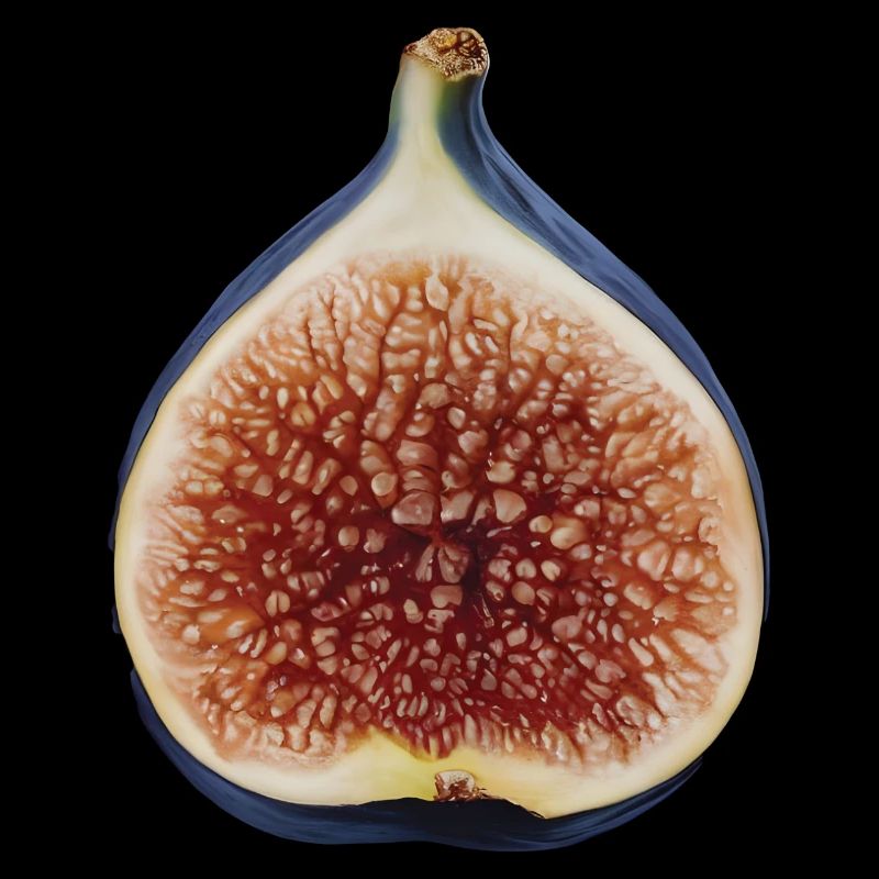 Feigenfrucht Geschenk
