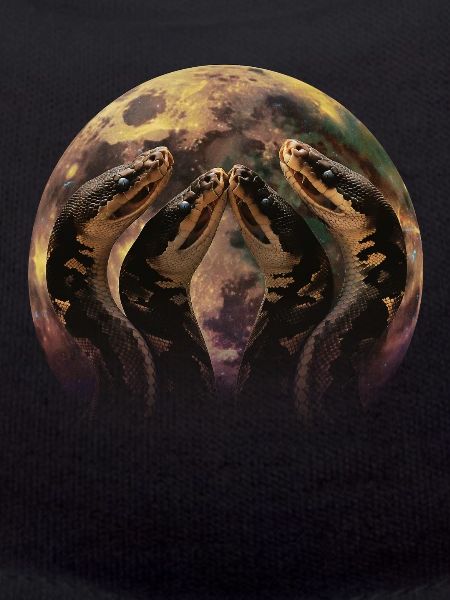 Kugelpython Schlange Heulender Mond