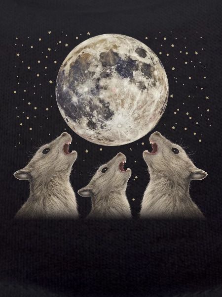 Chinchilla Pet Howling Moon