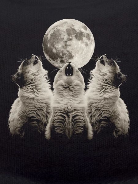 Himalayan Cat Howling Moon