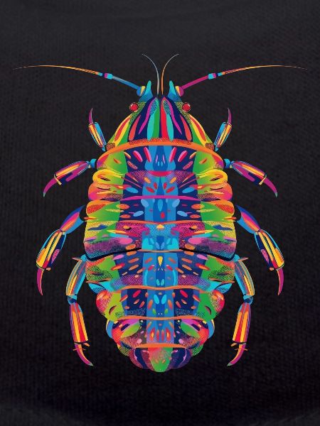 Isopode Pop Art