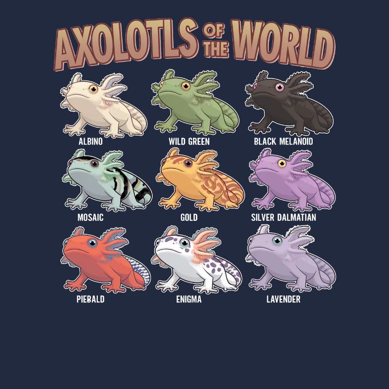 Axolotls du monde Mignon Anime Salamandre