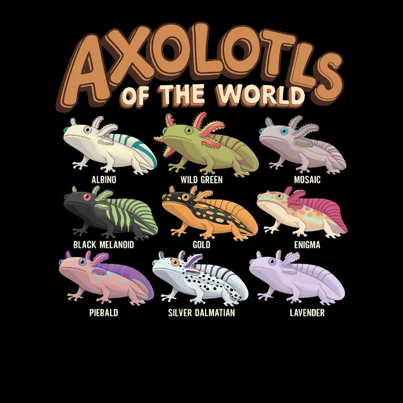 Axolotls Der Welt Süßer Anime Salamander