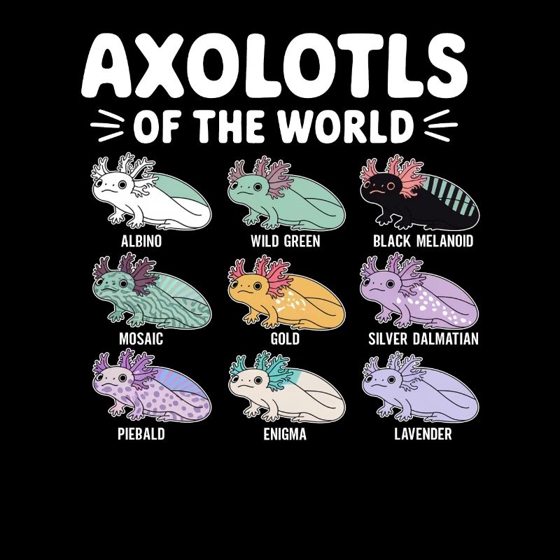 Axolotls Der Welt Süßer Anime Salamander
