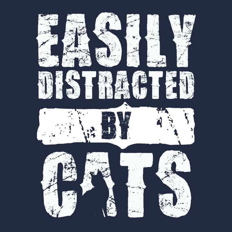 Facilement distrait par les chats