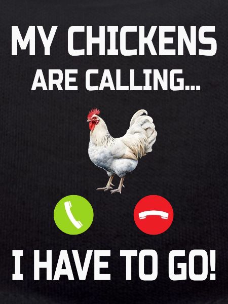 Chicken Chickens