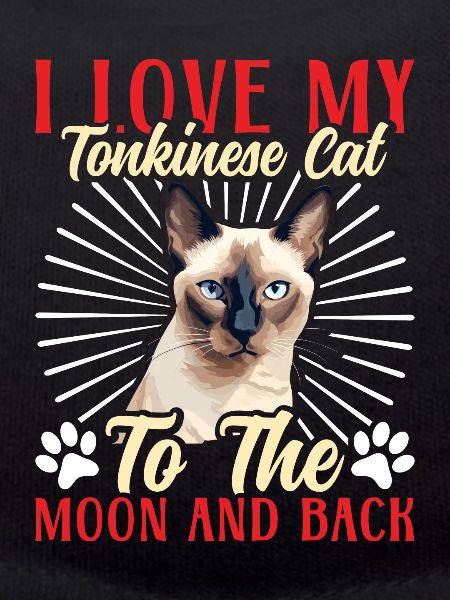 Chat tonkinois