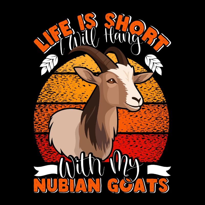 Nubian Goat, goat breeder