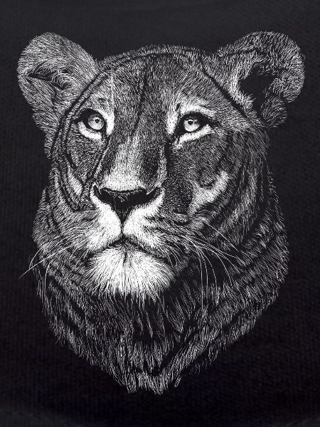 Lioness
