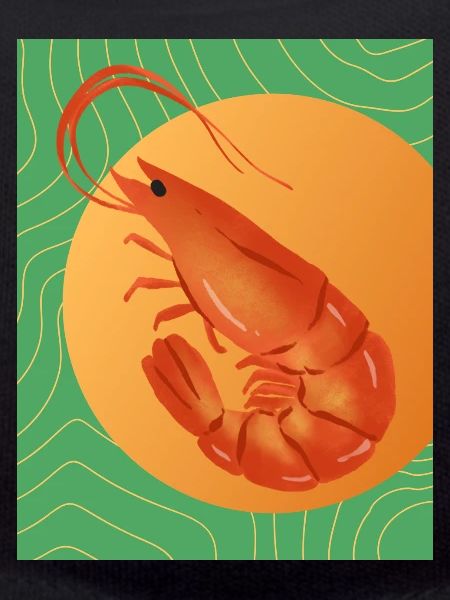 Maximalist Shrimp