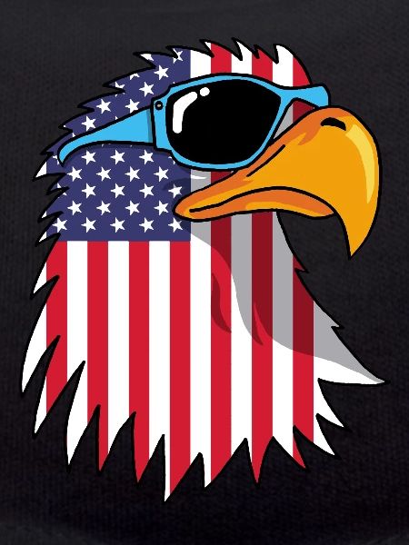 Eagle and American Flag