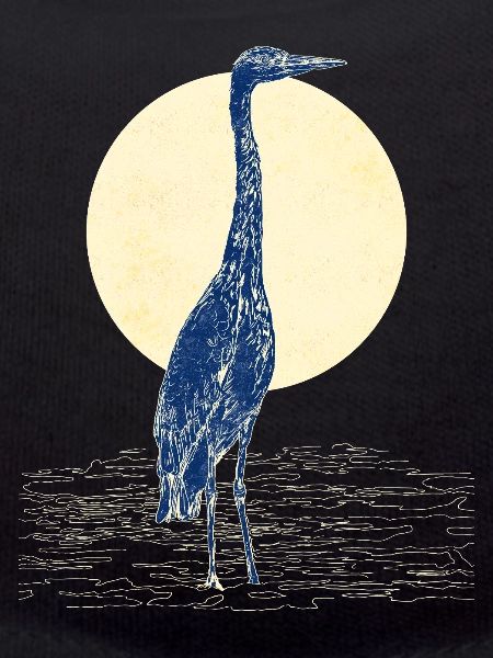 GREY HERON