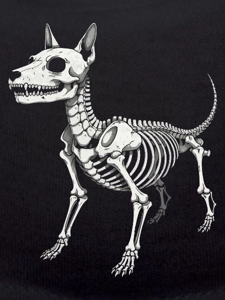 Impression de l’anatomie du chien squelettique