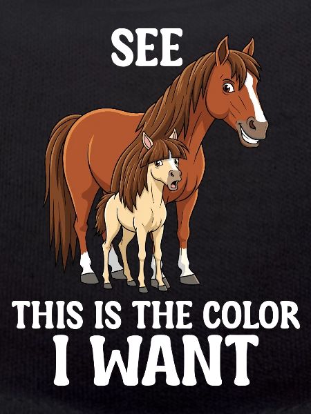Humor Reiter Reiten
