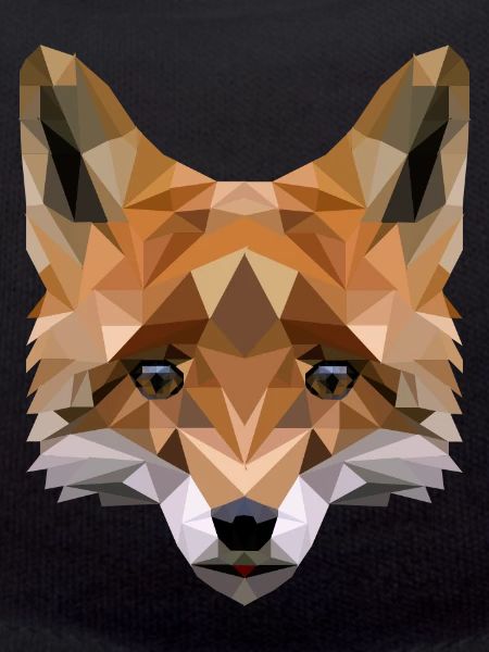 Polygon Fuchs