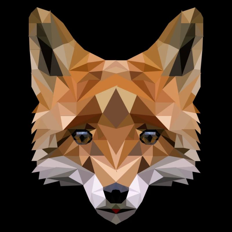 Polygon Fuchs