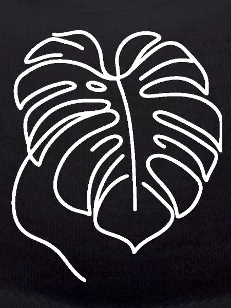 Monstera