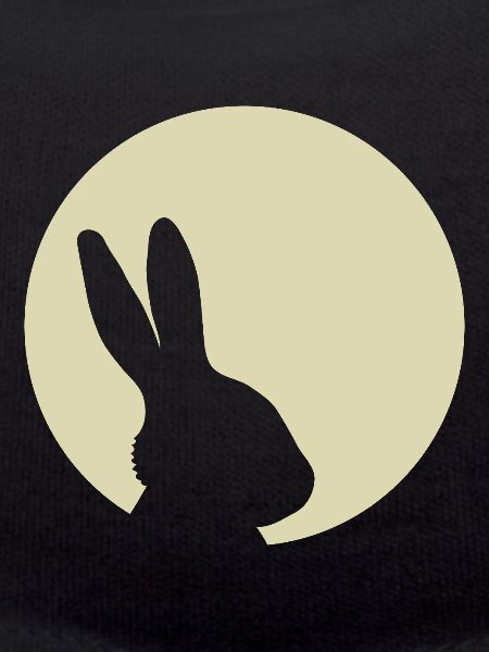 Bunny Moon Rabbit Bunny Easter