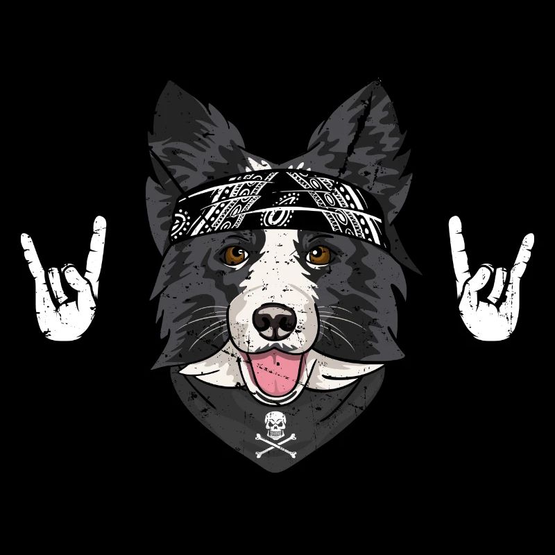 border collie