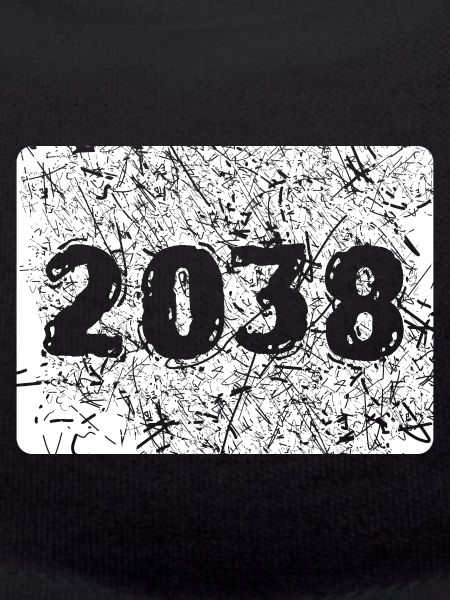 2038