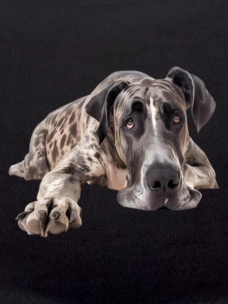 Great Dane