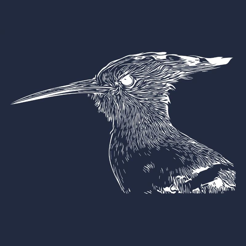 Wiedehopf Vogel