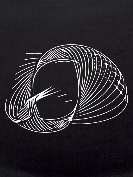 Geometric circle lines