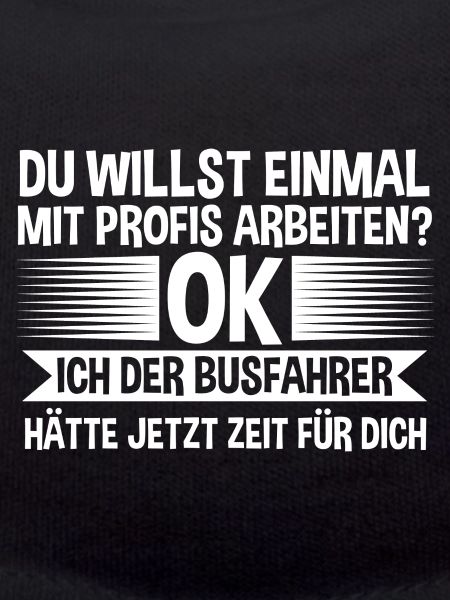 Bus Busfahrer