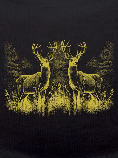 Hirsch Hirsche Wild Rotwild Rehbock