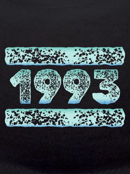 1993 1993