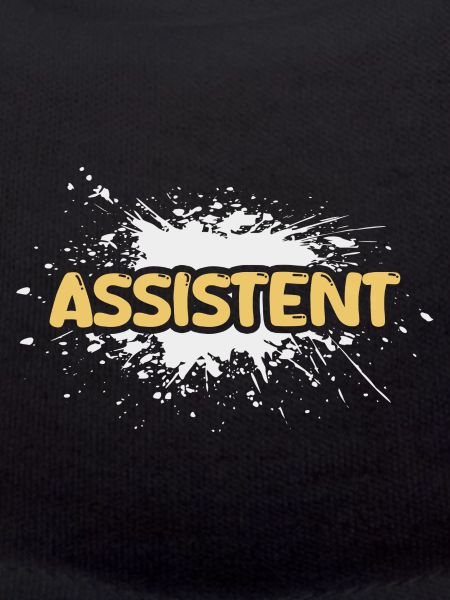 Assistant