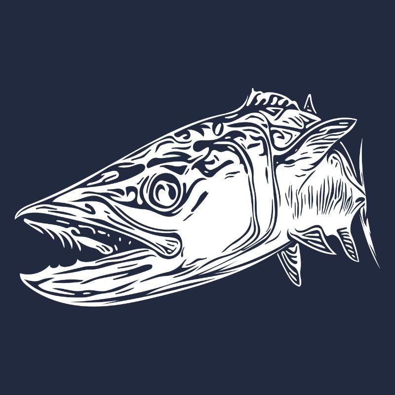 Large vintage barracuda with dangerous teeth