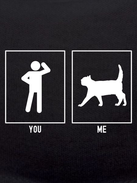 You - I - Approaching Cat