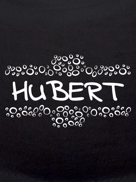 Prénom Hubert