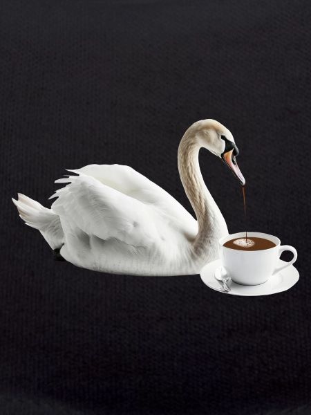Schwan Kaffee
