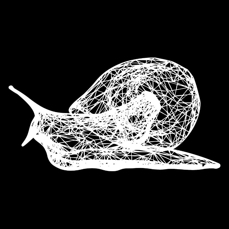 Snail - snail