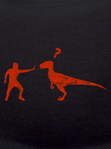 Velociraptor Dinosaurs