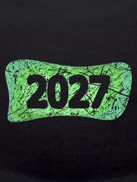 Scratches 2027